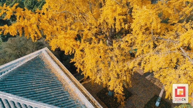 冬日的自贡犹如一幅绚丽的多彩画卷(图23) 微信图片_20231212100506.jpg