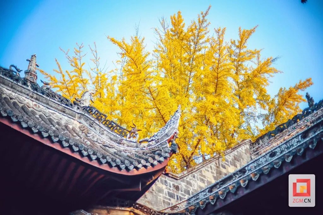 冬日的自贡犹如一幅绚丽的多彩画卷(图27) 微信图片_20231212100525.jpg