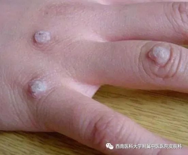 微信图片_20231212110242.jpg