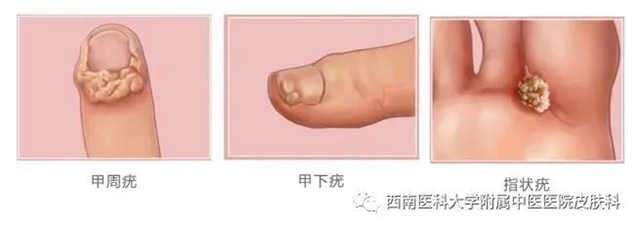 微信图片_20231212110246.jpg