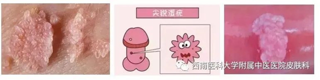 微信图片_20231212110306.jpg