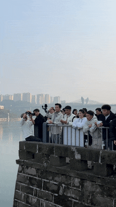 全省率先!泸州这样让长江文化遗产在当代“活”起来……(图2) 2.gif