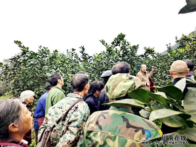 民建市属三支部主委黎秋刚为果农讲解专业种植技术知识.jpg