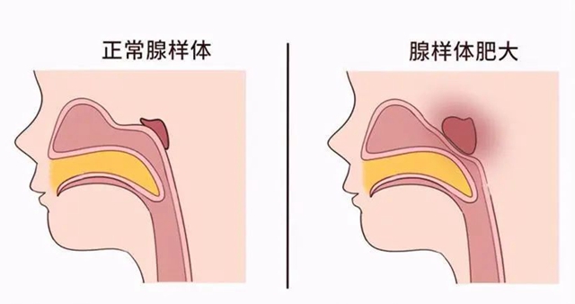 微信图片_20231219095050.jpg