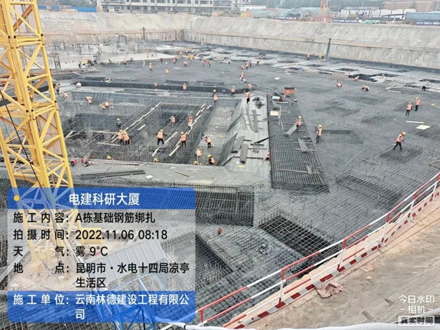 林3.jpg