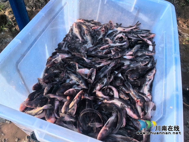 微信图片_20231225101037.jpg