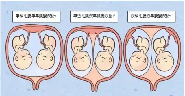 微信图片_20231226100744.jpg