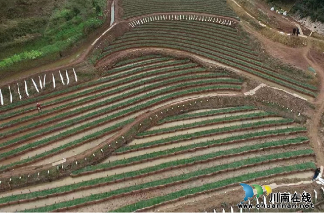 大陆溪百和镇石牛栏生态湿地（杜亚摄）.jpg