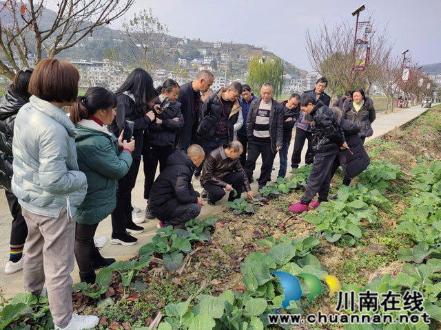 泸州市思原职业培训学校有限公司承办的古蔺县2023年高素质农民培育培训项目圆满结束(图2) 图片2.jpg