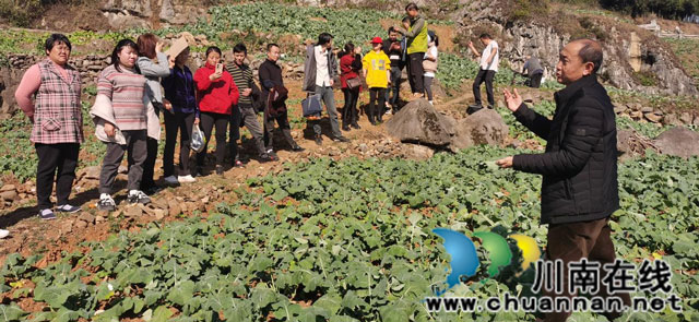 泸州市思原职业培训学校有限公司承办的古蔺县2023年高素质农民培育培训项目圆满结束(图3) 图片3.jpg
