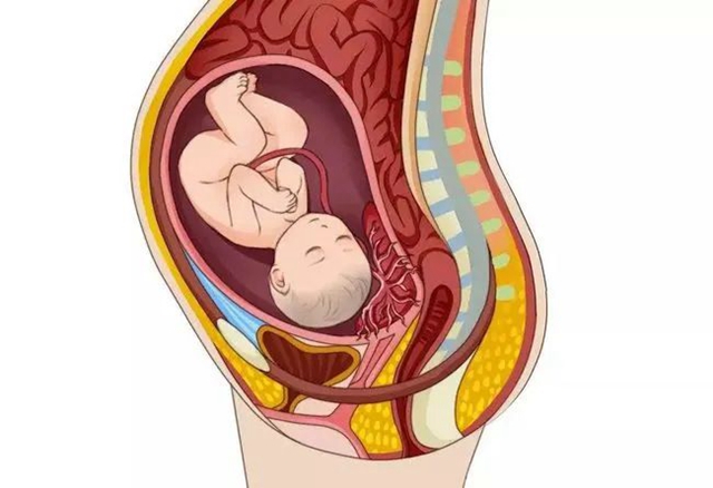 凶险】罕见的熊猫血孕妇,出血“一滩”......(图7) 微信图片_20240103095832.jpg