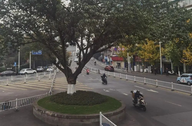坐公交打卡泸州“富氧线路”(图4) 4.jpg