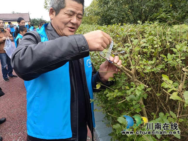 丹林7.jpg