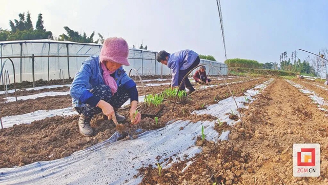 藏不住了!自贡有个“黄金码头”——(图5) 微信图片_20240112104532.jpg