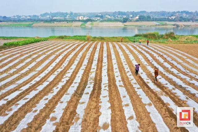 藏不住了!自贡有个“黄金码头”——(图6) 微信图片_20240112104536.jpg