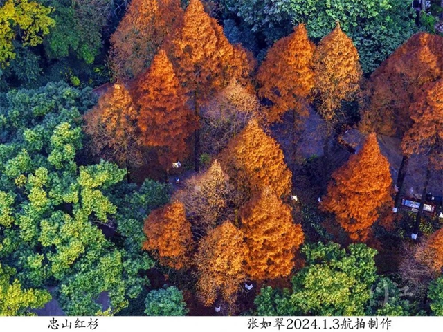 微信图片_20240115094820.jpg