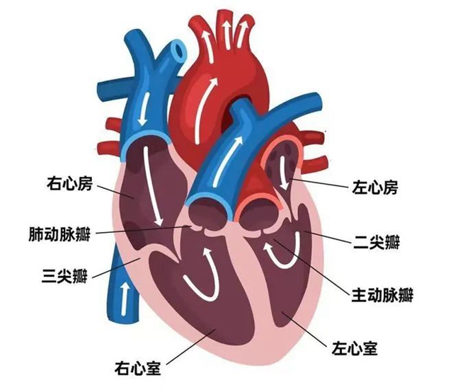 微信图片_20240116093628.jpg