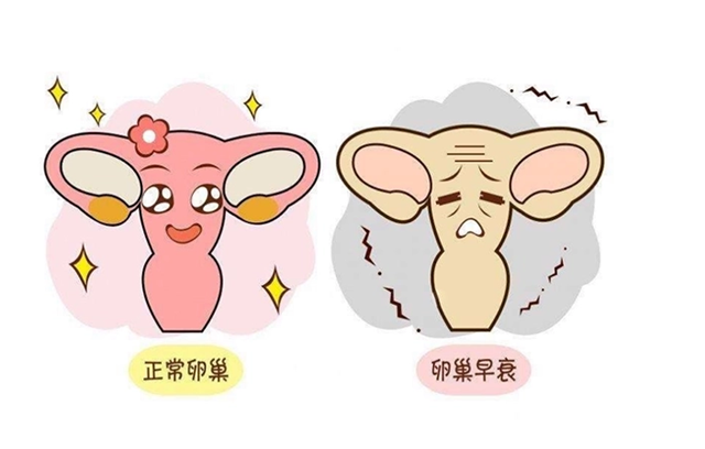 微信图片_20240118094724.png