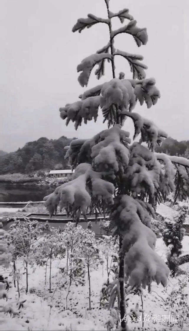 内江下雪了!在这里——(图9) 9.jpg