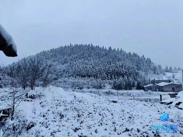 024年第一场雪,泸州等到了!多图!最低温-3.4℃……(图4) 微信图片_20240122112857.jpg