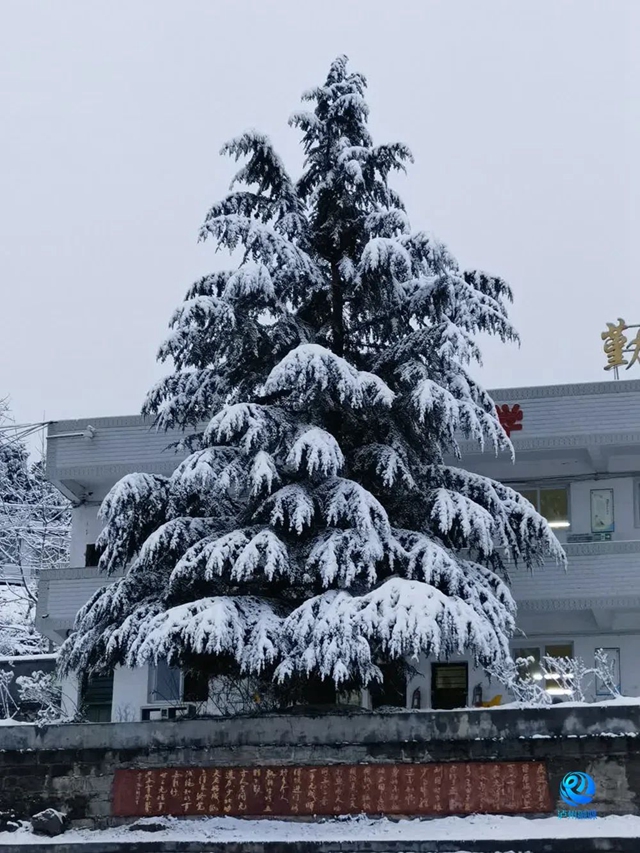 024年第一场雪,泸州等到了!多图!最低温-3.4℃……(图8) 微信图片_20240122112915.jpg