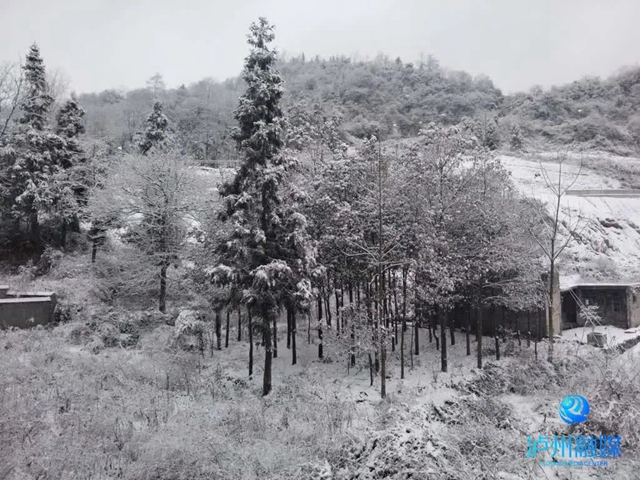024年第一场雪,泸州等到了!多图!最低温-3.4℃……(图10) 微信图片_20240122112923.jpg