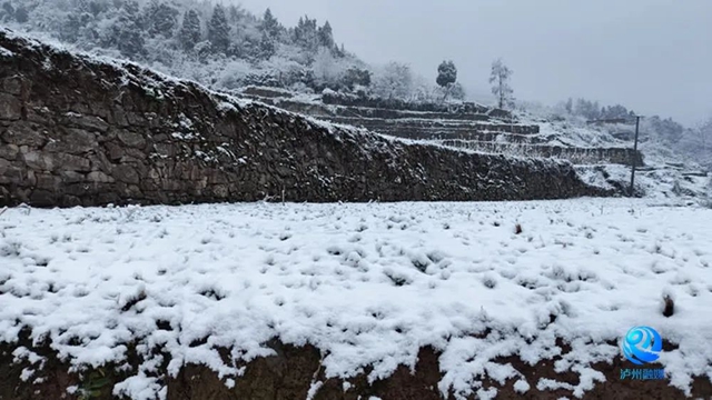 024年第一场雪,泸州等到了!多图!最低温-3.4℃……(图12) 微信图片_20240122112931.jpg