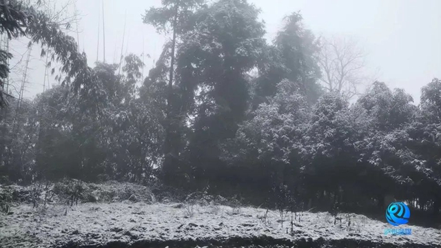 024年第一场雪,泸州等到了!多图!最低温-3.4℃……(图15) 微信图片_20240122112946.jpg