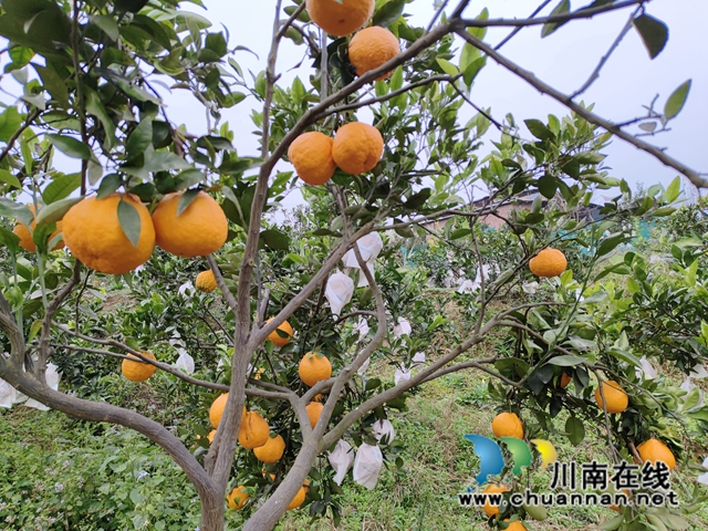 微信图片_20240123153703(1).jpg