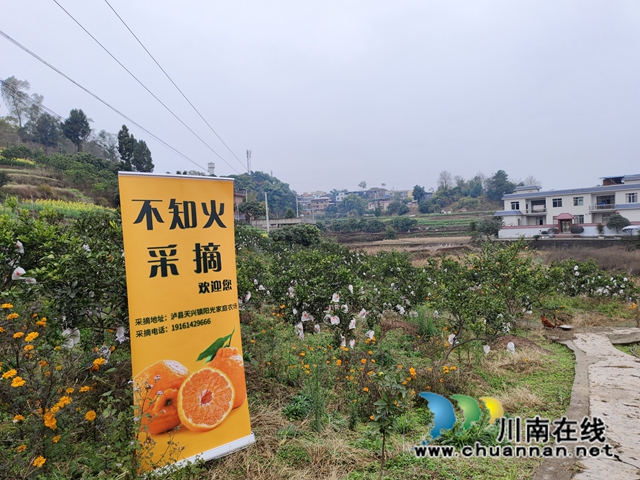 微信图片_20240123155058(1).jpg