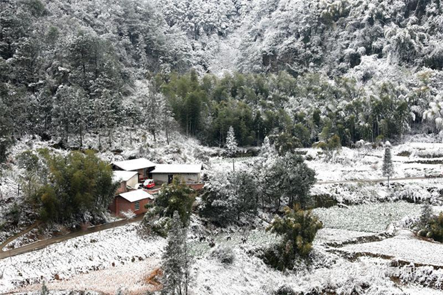 没看够!再来一波内江的雪——(图2) 微信图片_20240124111904.png