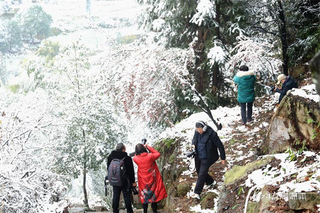 没看够!再来一波内江的雪——(图4) 微信图片_20240124111913.png