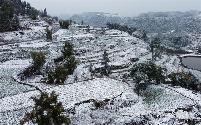 没看够!再来一波内江的雪——(图5) 微信图片_20240124111918.png