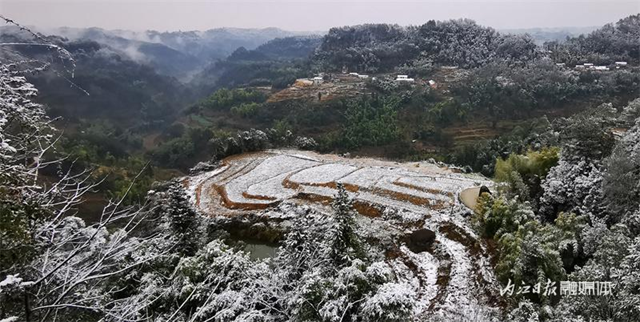 没看够!再来一波内江的雪——(图6) 微信图片_20240124111922.png