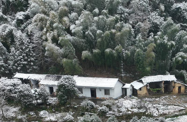 没看够!再来一波内江的雪——(图7) 微信图片_20240124111926.png