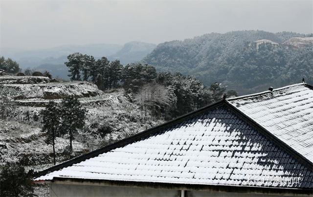 没看够!再来一波内江的雪——(图10) 微信图片_20240124111938.png