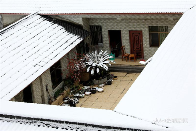 没看够!再来一波内江的雪——(图11) 微信图片_20240124111943.png