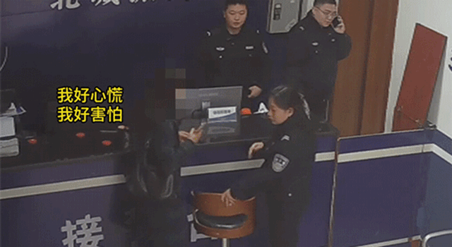 微信图片_20240126101240_副本.gif
