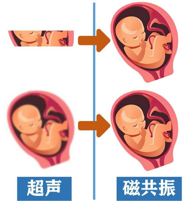 微信图片_20240131093001.png