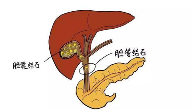 微信图片_20240204100519.png