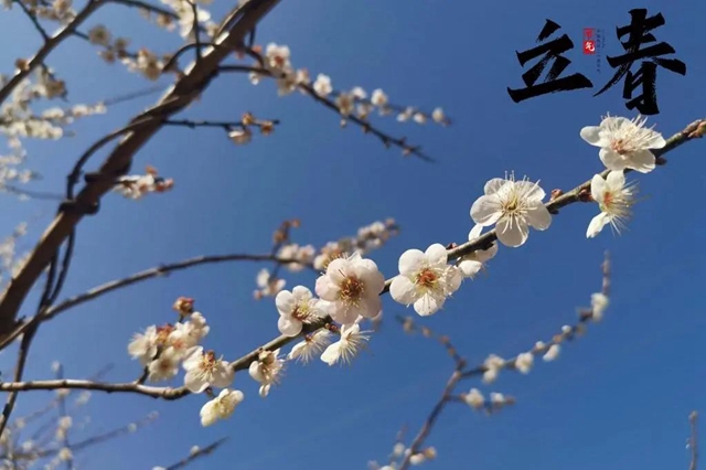 【围观】今天起,要少吃酸的东西(图4) 微信图片_20240205102931.jpg