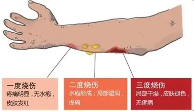 微信图片_20240207095520.jpg