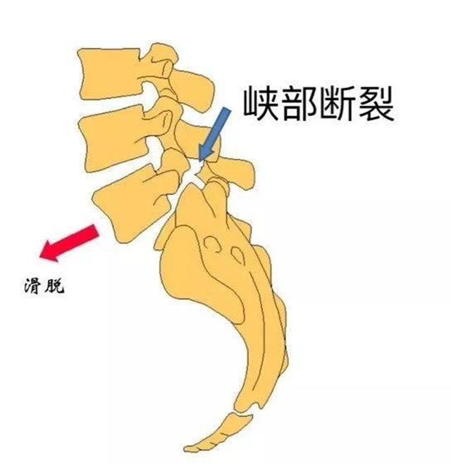 微信图片_20240208102857.png