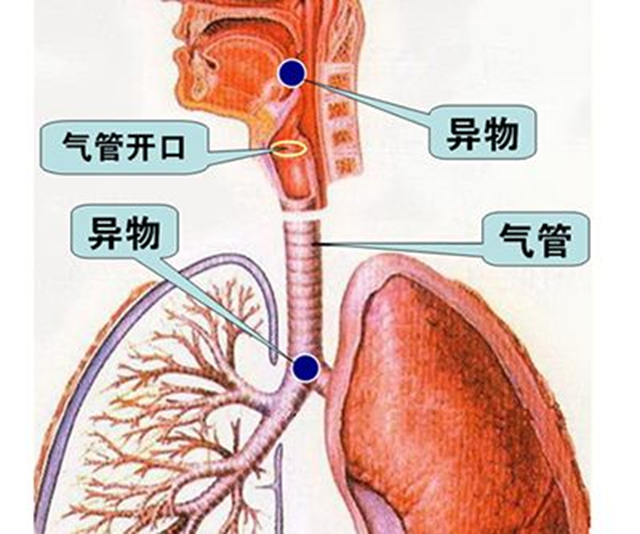 微信图片_20240209090325.png