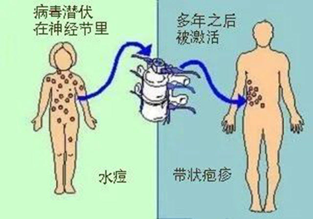 微信图片_20240209092915.jpg