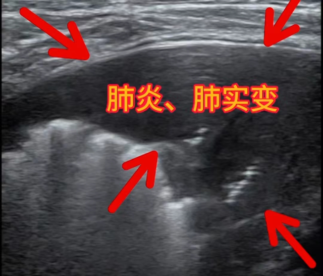 微信图片_20240220110128.png