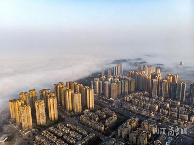 微信图片_20240226103057.jpg