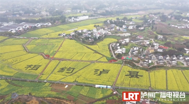 春天到这里,邂逅万亩花海!小吃街、侏罗纪恐龙展、音乐节等你来体验→(图13) 13.jpg