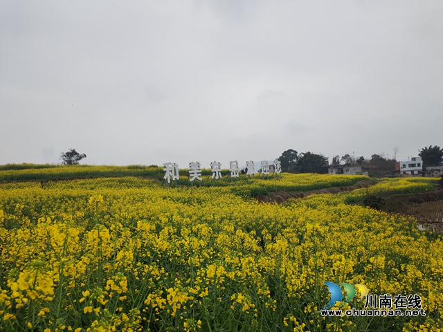 和美东岳欢迎你（曾佐然摄）.jpg