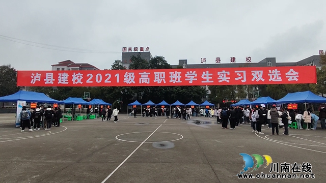 双选会.jpg